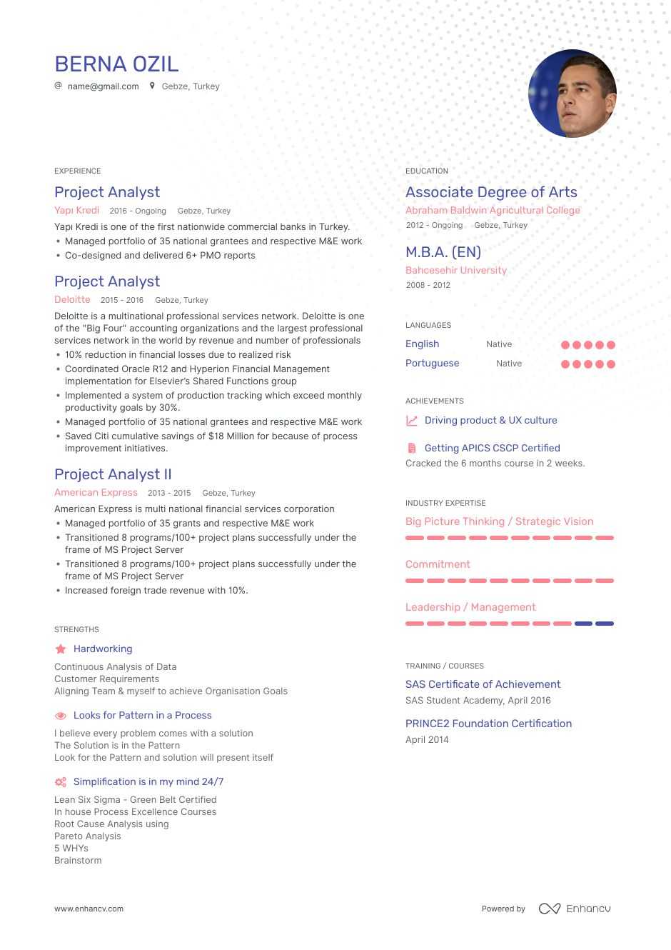 it project manager resume for project analyst