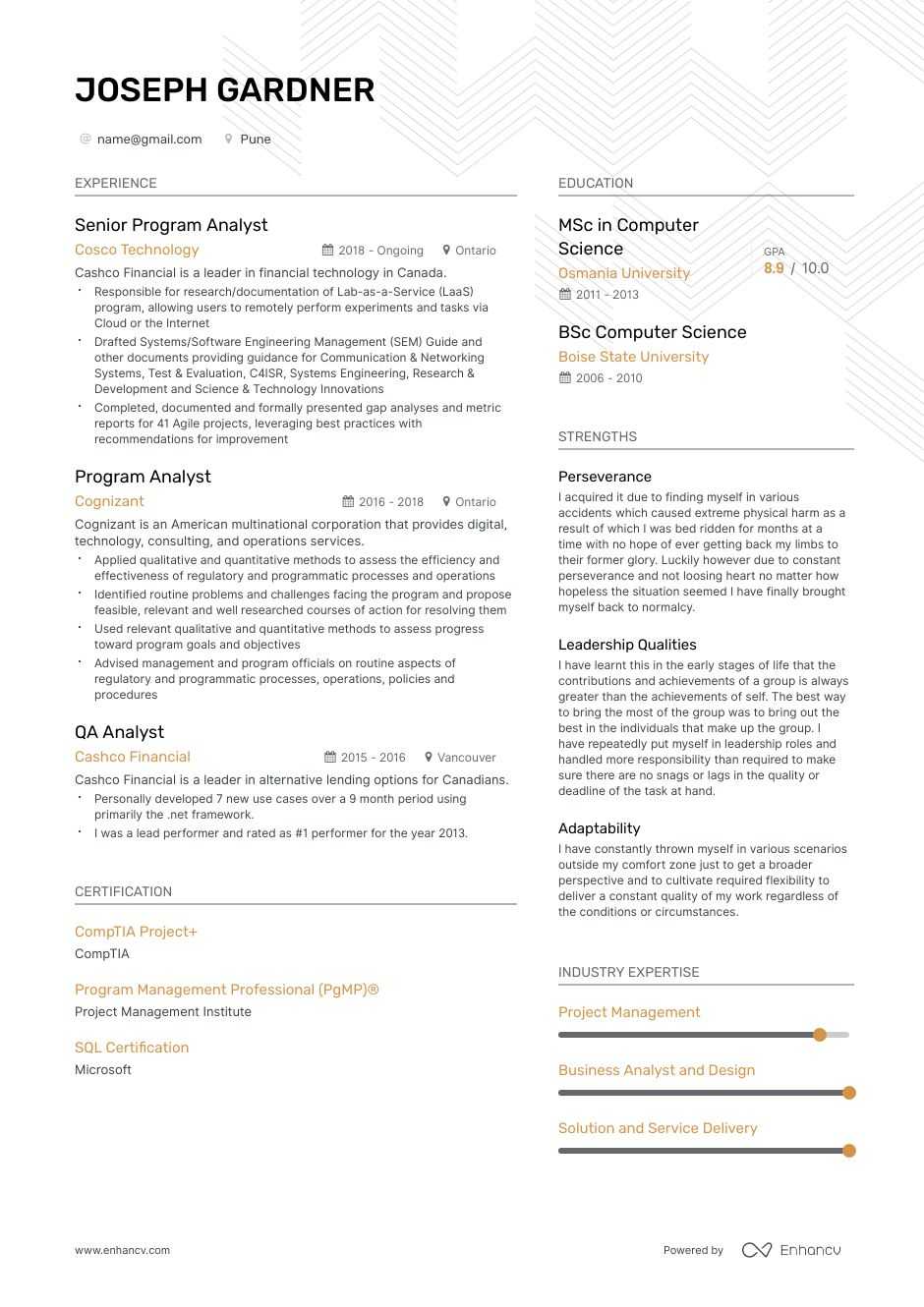 it project manager resume sample program analyst