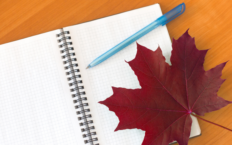 How Much Does it Cost to Study in Canada